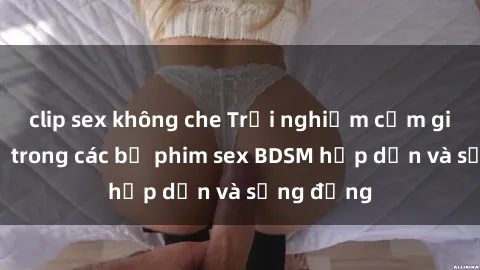 clip sex không che Trải nghiệm cảm giác mới lạ trong các bộ phim sex BDSM hấp dẫn và sống động